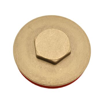 2 1/4 inch Immersion Heater Plug and Washer