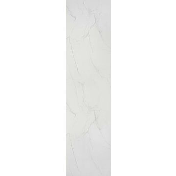 Marble Collection 600mm x 2400mm Wall Panel
